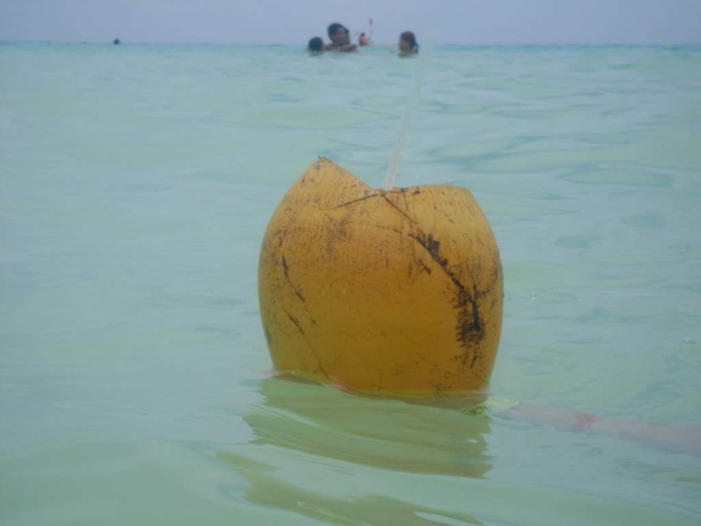 ai738.photobucket.com_albums_xx24_PikuPuki_DSC05017.jpg