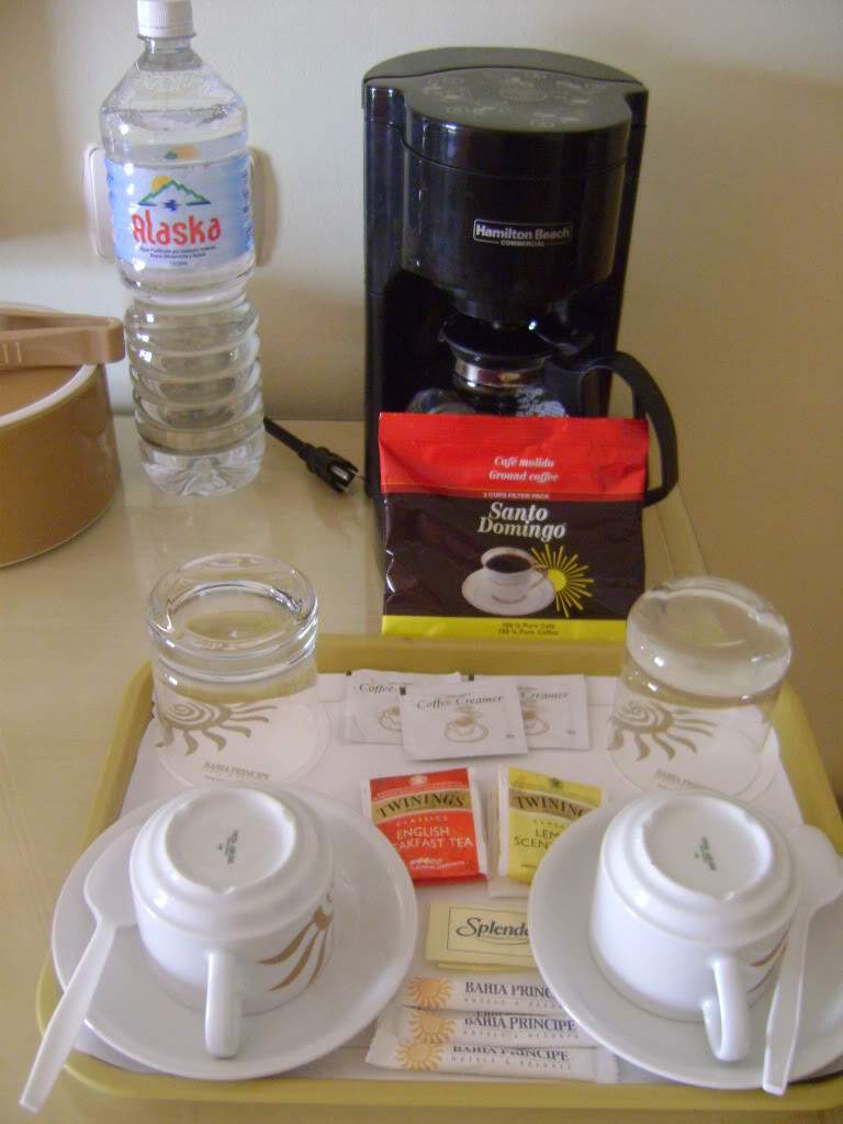 ai738.photobucket.com_albums_xx24_PikuPuki_DSC07848.jpg