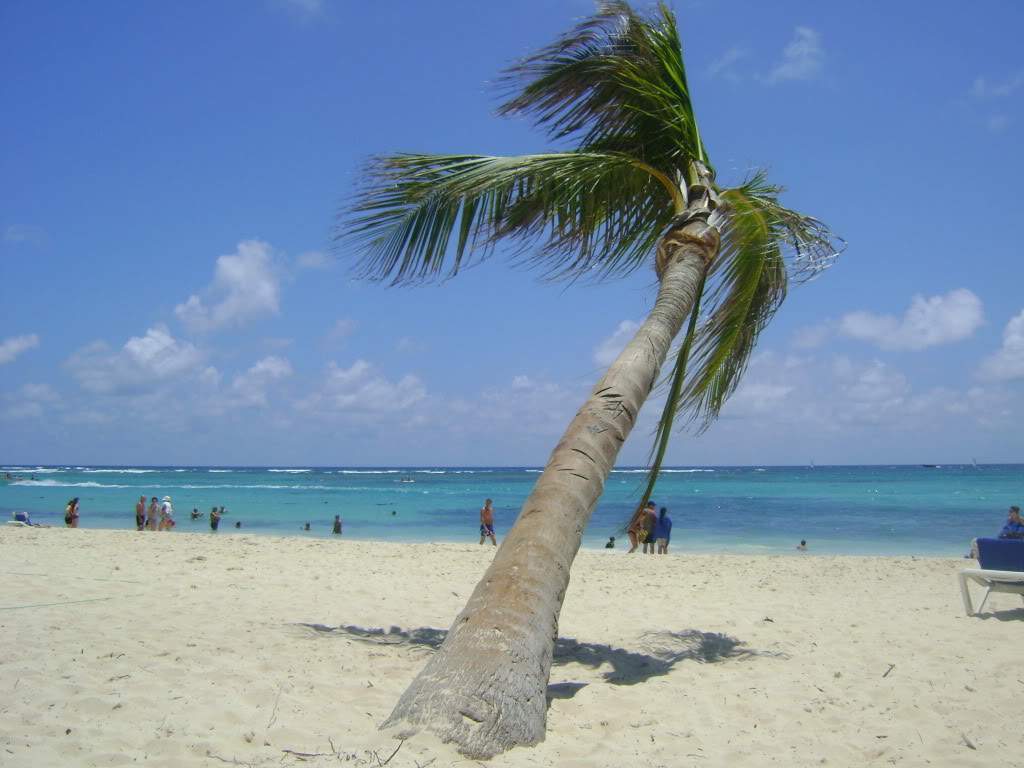 ai738.photobucket.com_albums_xx24_PikuPuki_DSC07877.jpg