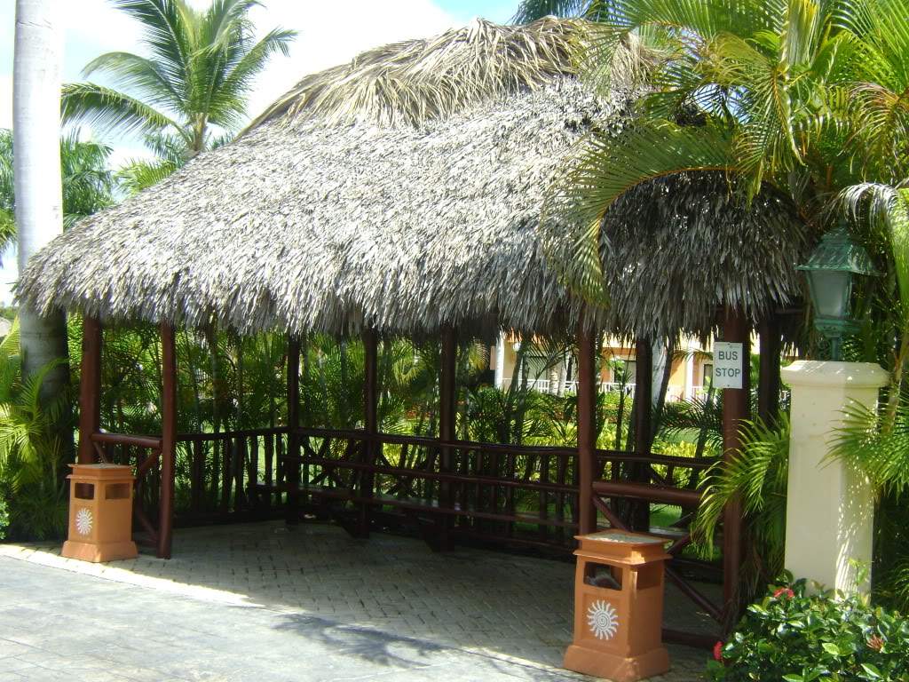 ai738.photobucket.com_albums_xx24_PikuPuki_DSC07944.jpg