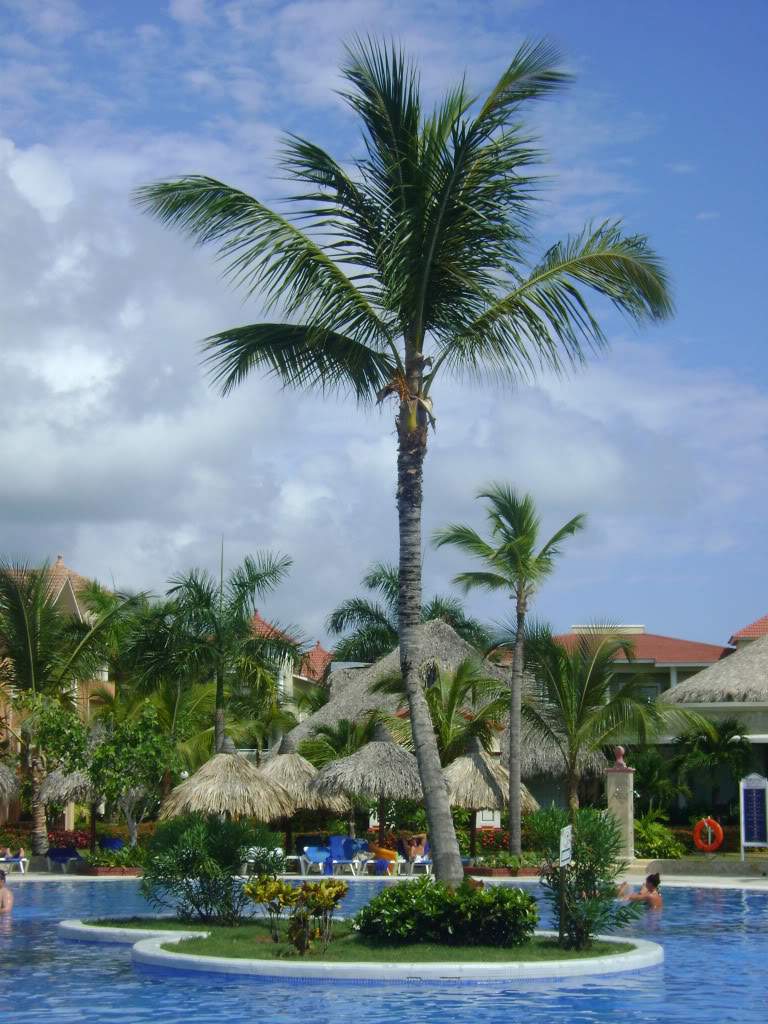 ai738.photobucket.com_albums_xx24_PikuPuki_DSC07956.jpg