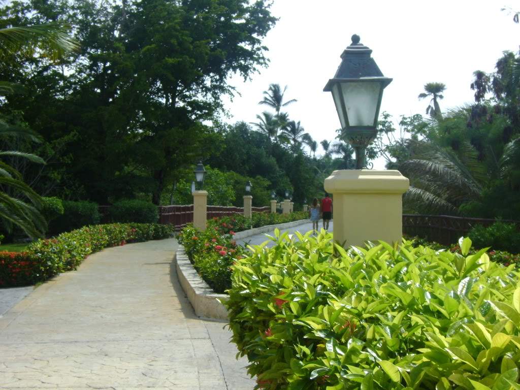 ai738.photobucket.com_albums_xx24_PikuPuki_DSC07960.jpg
