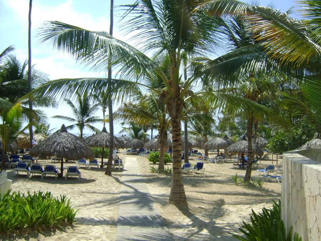 ai738.photobucket.com_albums_xx24_PikuPuki_DSC07980.jpg