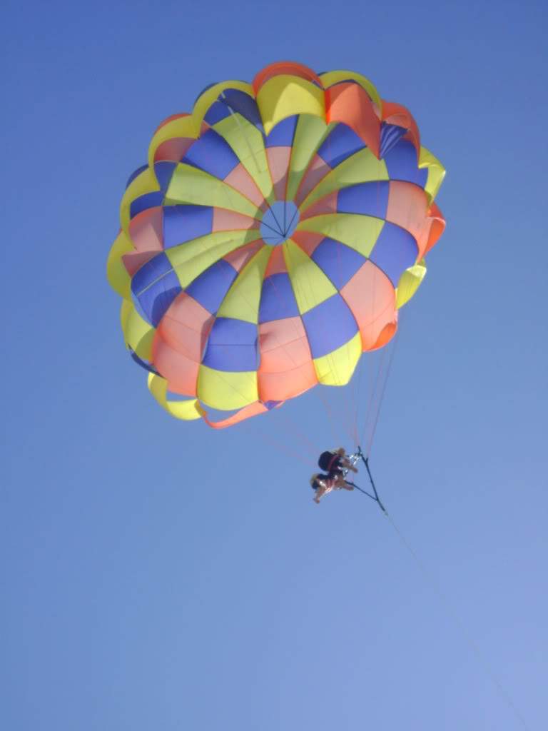 ai738.photobucket.com_albums_xx24_PikuPuki_DSC07995.jpg