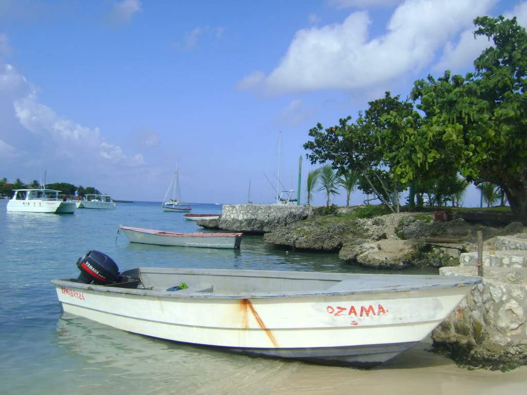 ai738.photobucket.com_albums_xx24_PikuPuki_DSC08062.jpg