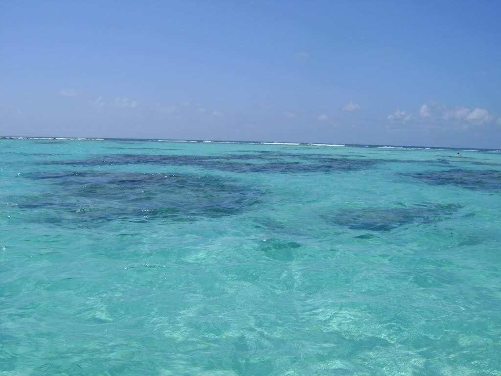 ai738.photobucket.com_albums_xx24_PikuPuki_DSC08095.jpg