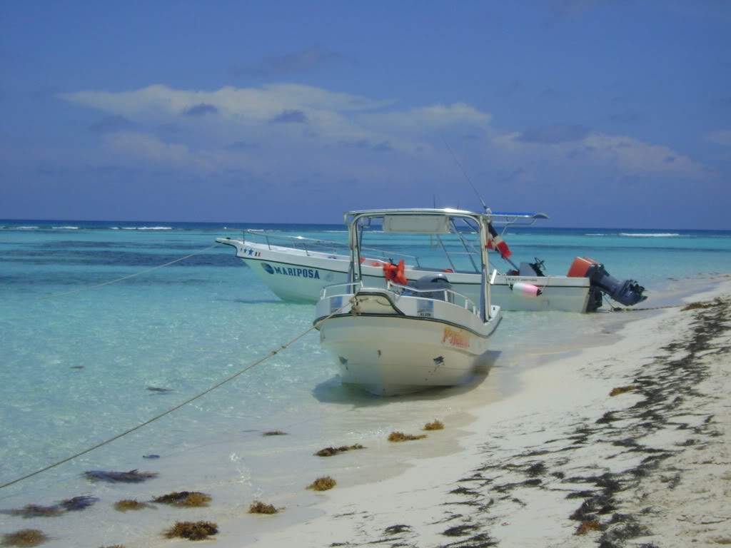 ai738.photobucket.com_albums_xx24_PikuPuki_DSC08105.jpg