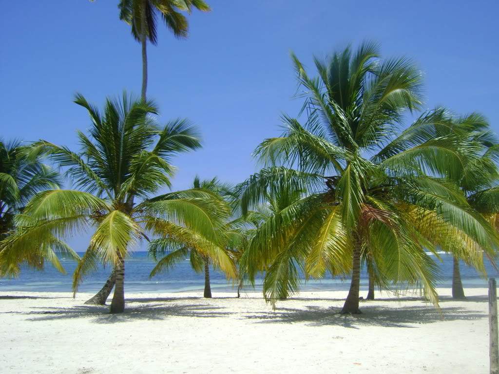 ai738.photobucket.com_albums_xx24_PikuPuki_DSC08139.jpg