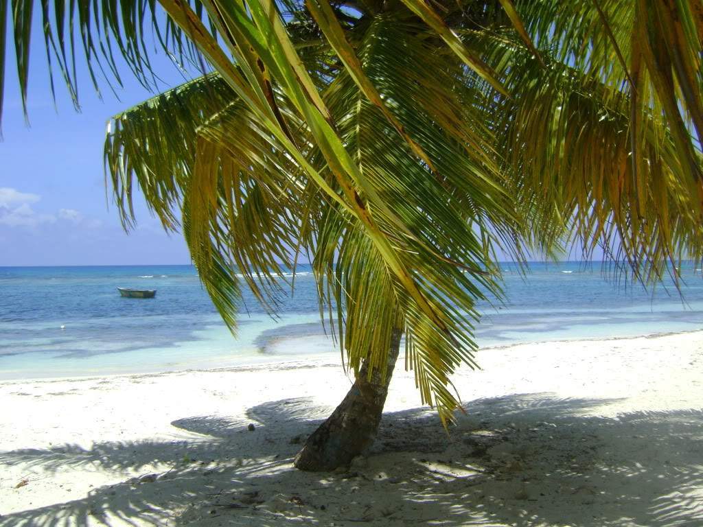 ai738.photobucket.com_albums_xx24_PikuPuki_DSC08141.jpg