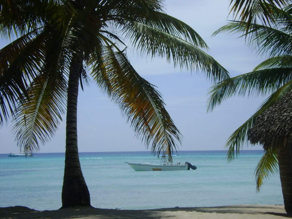 ai738.photobucket.com_albums_xx24_PikuPuki_DSC08165.jpg