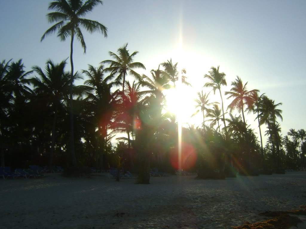 ai738.photobucket.com_albums_xx24_PikuPuki_DSC08528.jpg