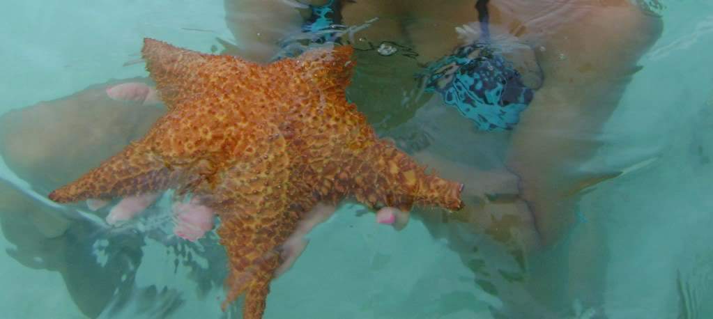 ai738.photobucket.com_albums_xx24_PikuPuki_Estrela.jpg