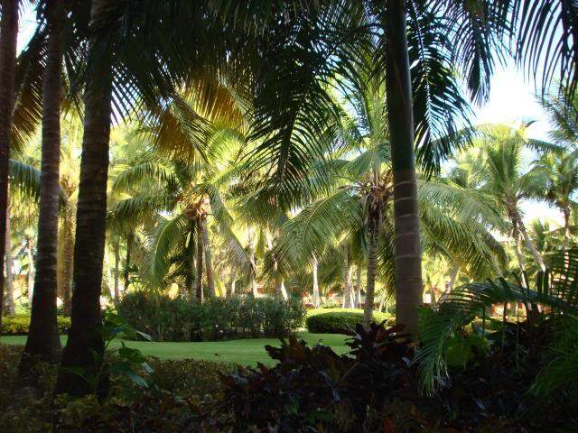 ai744.photobucket.com_albums_xx86_alvesjp_DSC00729.jpg