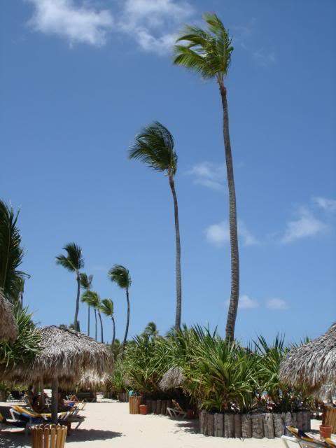 ai744.photobucket.com_albums_xx86_alvesjp_DSC00738.jpg