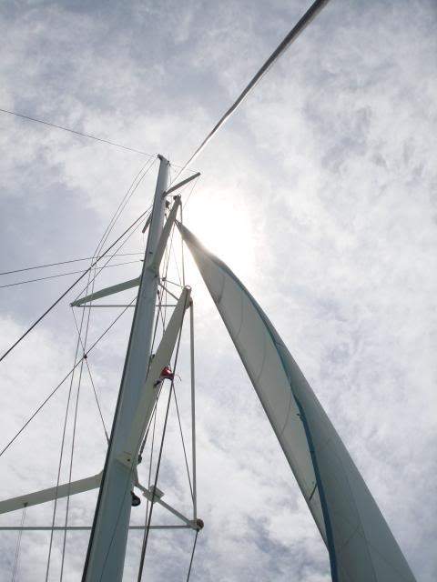 ai744.photobucket.com_albums_xx86_alvesjp_DSC00837.jpg