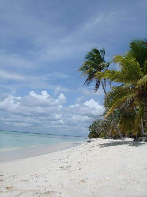ai744.photobucket.com_albums_xx86_alvesjp_DSC00857.jpg