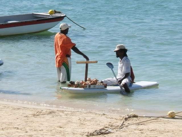 ai750.photobucket.com_albums_xx150_Fenix_99_Jamaica_JMK17.jpg