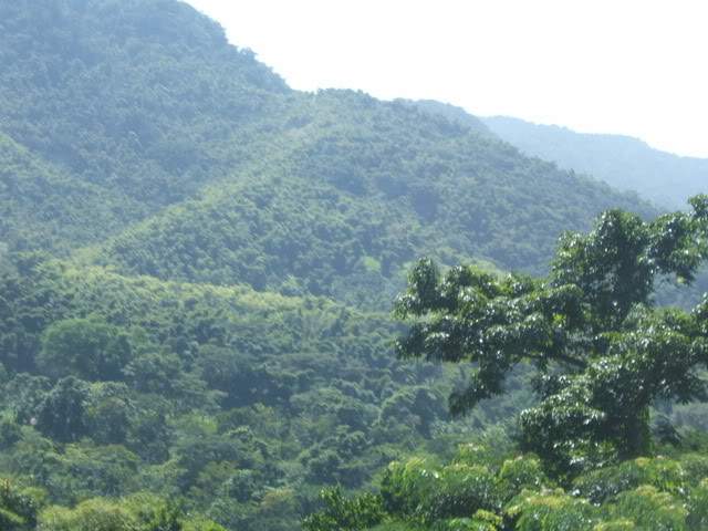 ai750.photobucket.com_albums_xx150_Fenix_99_Jamaica_JMK41.jpg