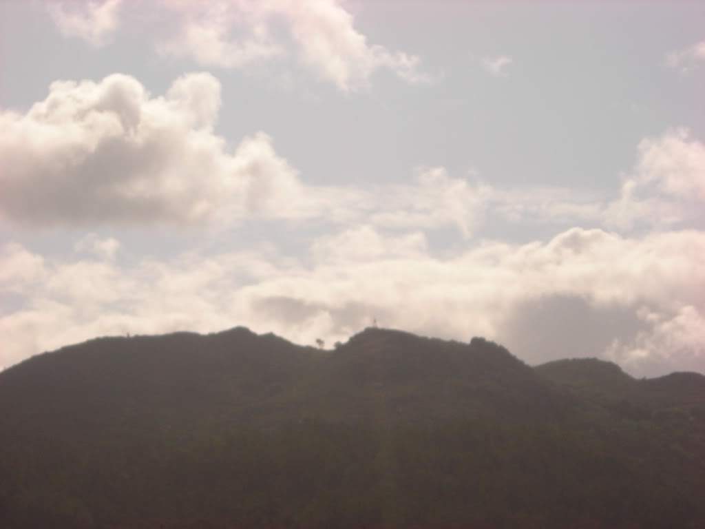 ai753.photobucket.com_albums_xx173_sofiaisa_DSCN1426.jpg