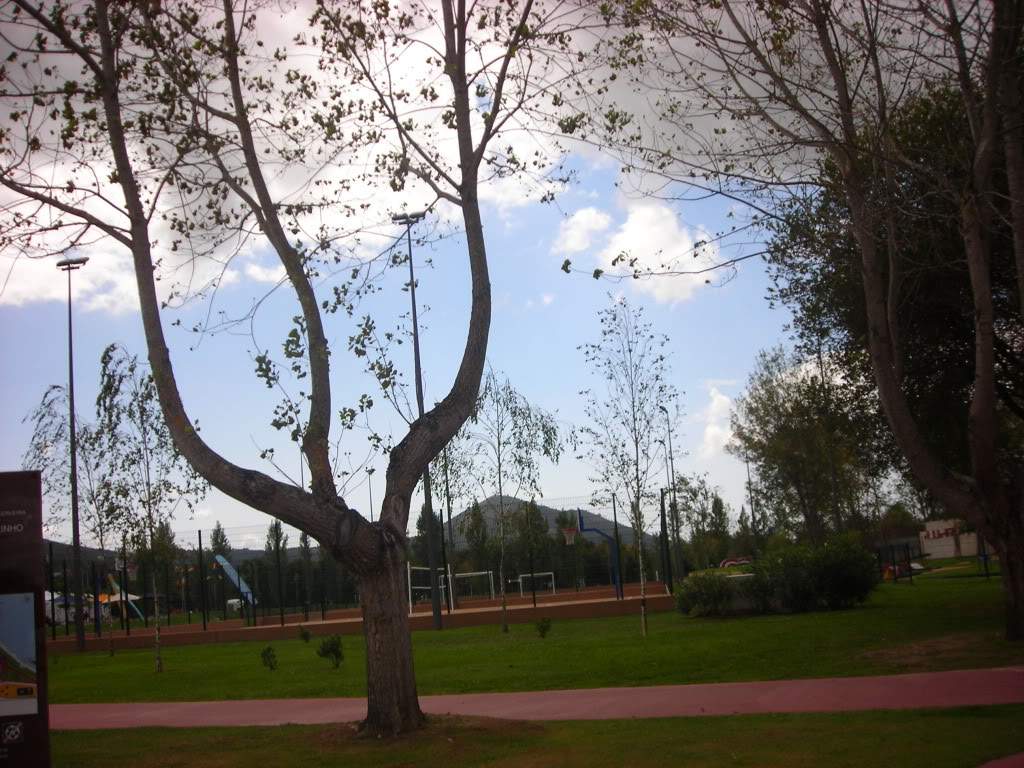 ai753.photobucket.com_albums_xx173_sofiaisa_DSCN1496.jpg