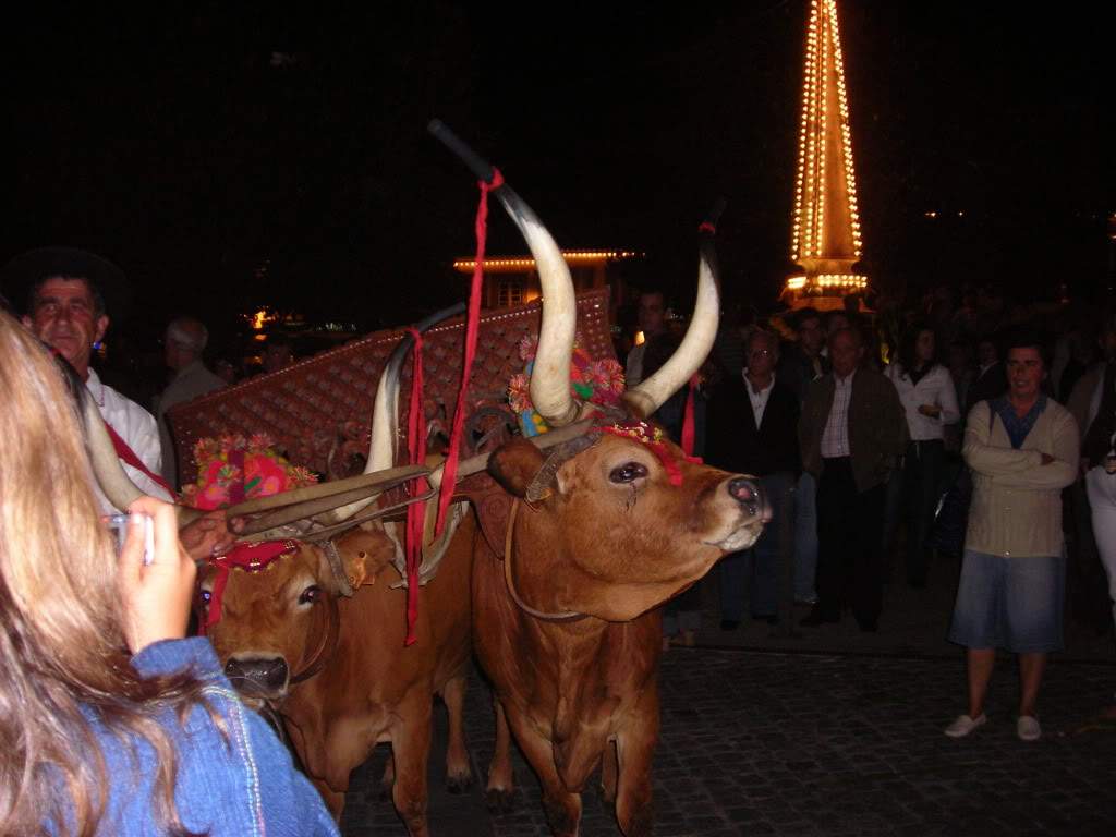 ai753.photobucket.com_albums_xx173_sofiaisa_DSCN1555.jpg