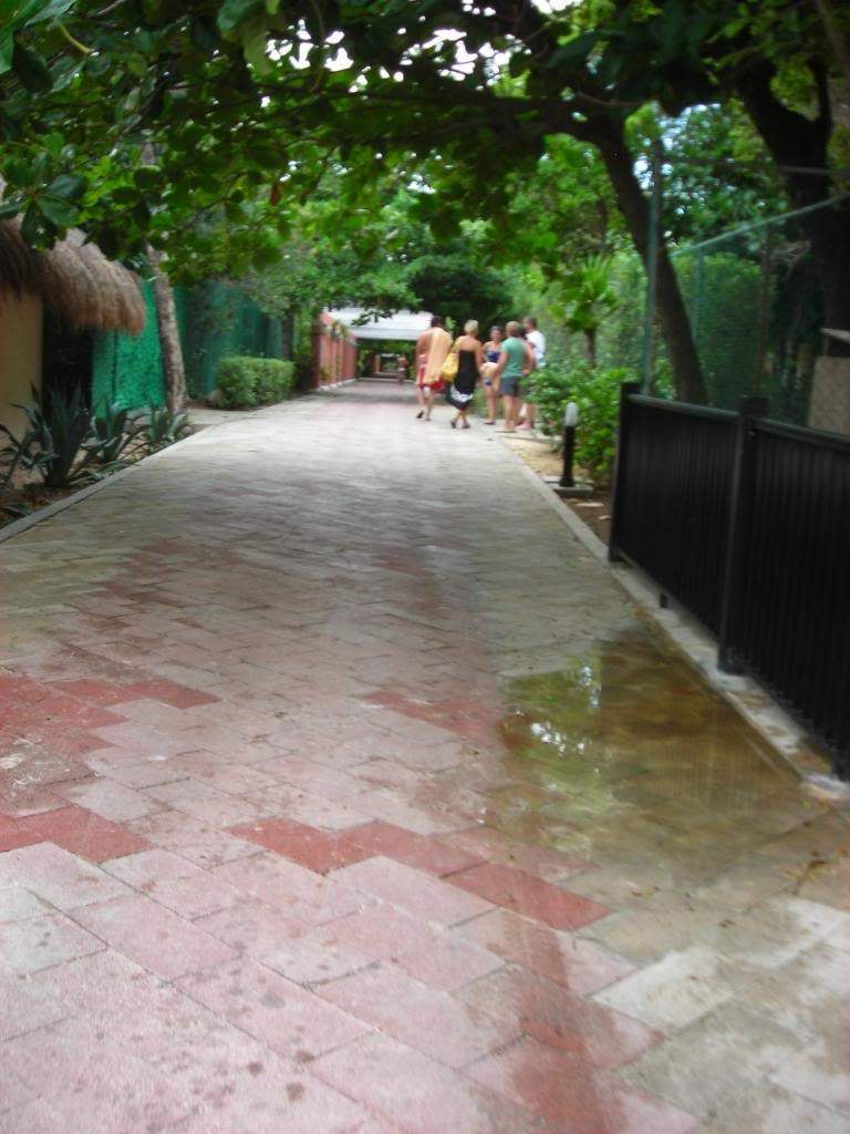 ai753.photobucket.com_albums_xx173_sofiaisa_DSCN1900.jpg