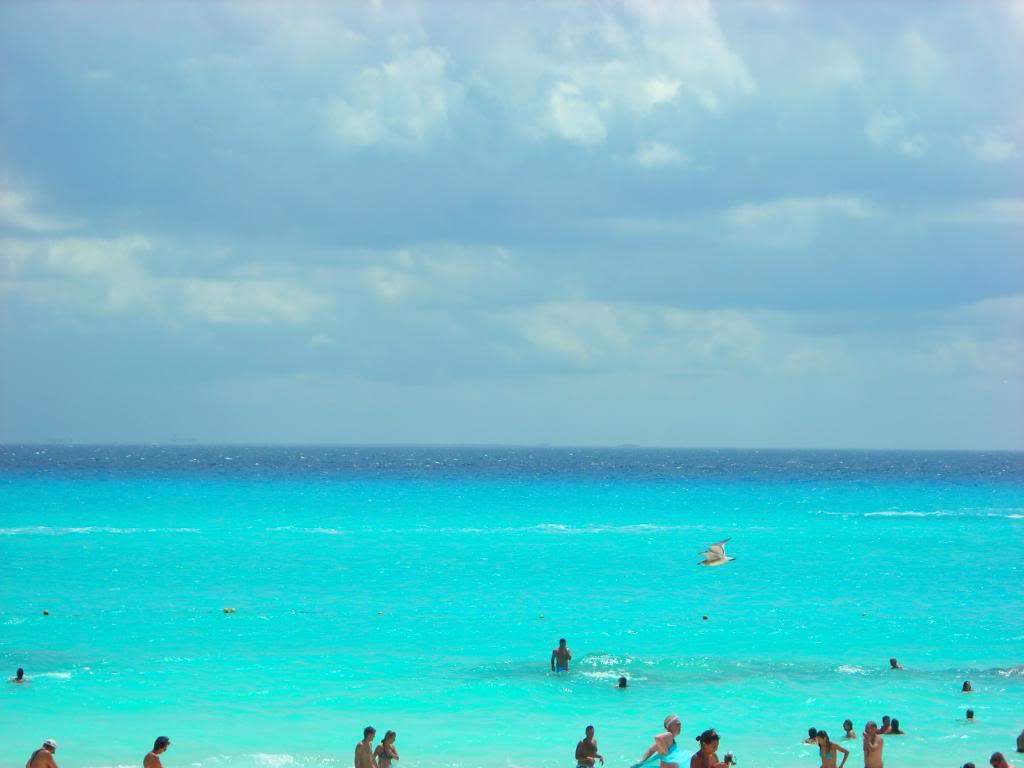 ai753.photobucket.com_albums_xx173_sofiaisa_DSCN1935.jpg