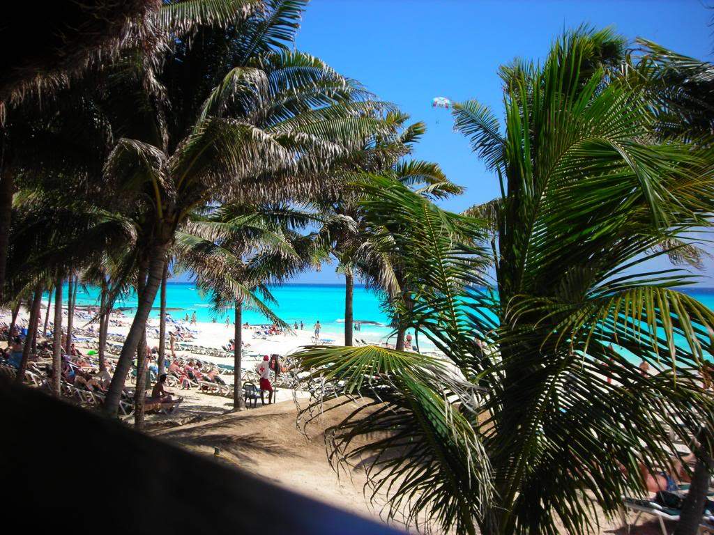 ai753.photobucket.com_albums_xx173_sofiaisa_DSCN1954.jpg
