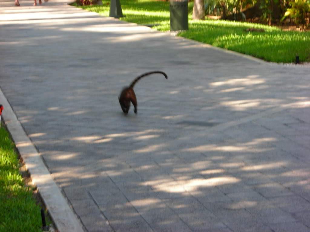 ai753.photobucket.com_albums_xx173_sofiaisa_DSCN2050.jpg