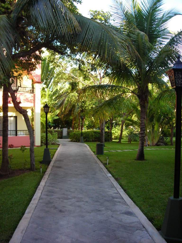 ai753.photobucket.com_albums_xx173_sofiaisa_DSCN2096.jpg