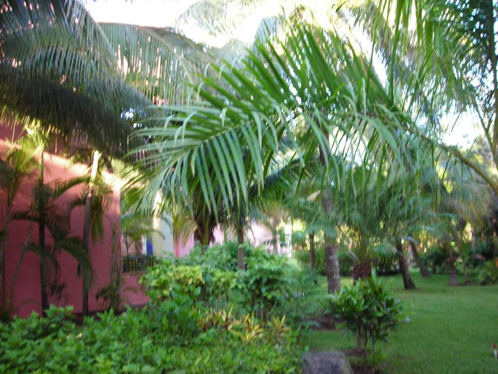 ai753.photobucket.com_albums_xx173_sofiaisa_DSCN2097.jpg