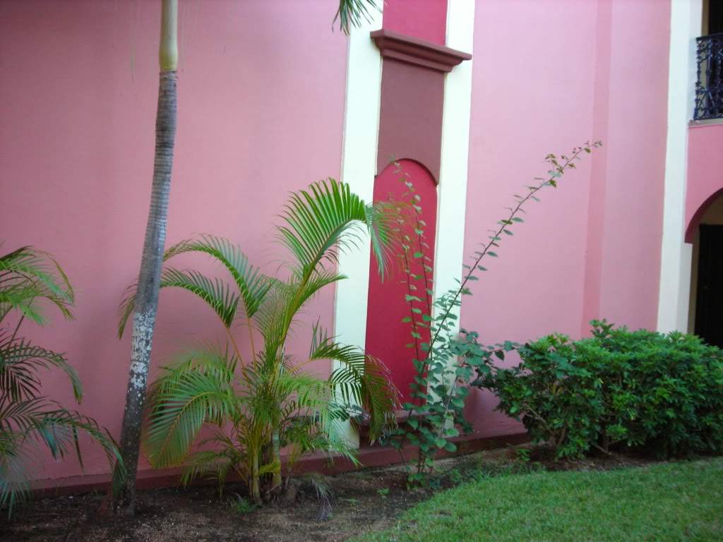 ai753.photobucket.com_albums_xx173_sofiaisa_DSCN2098.jpg
