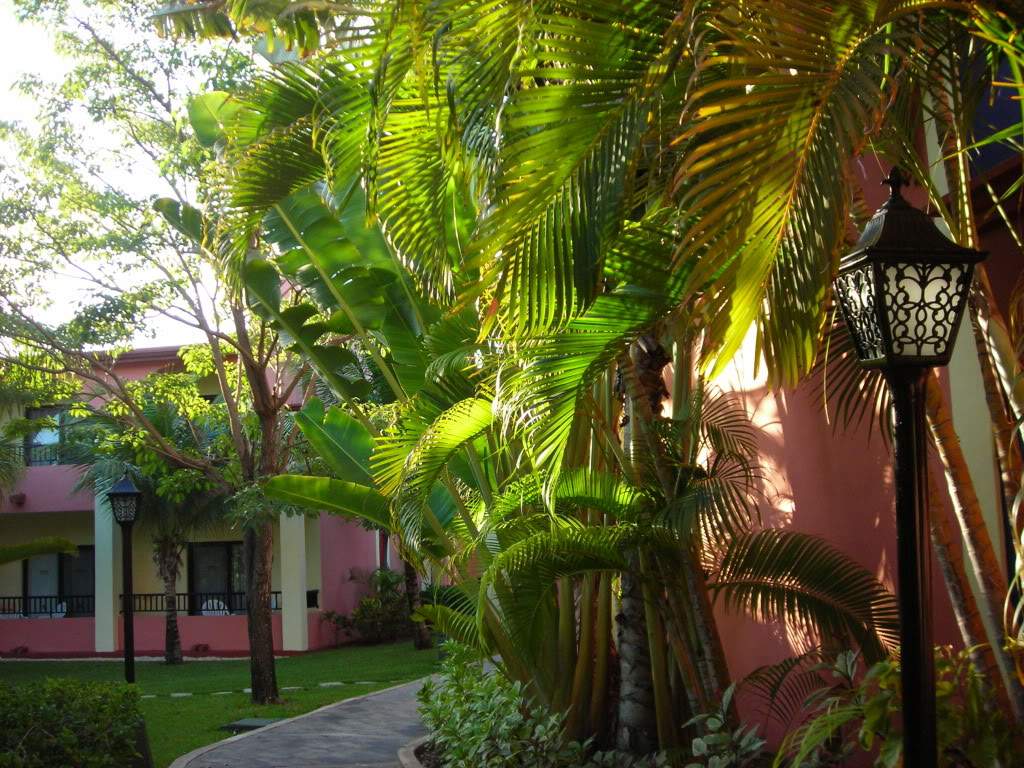 ai753.photobucket.com_albums_xx173_sofiaisa_DSCN2102.jpg