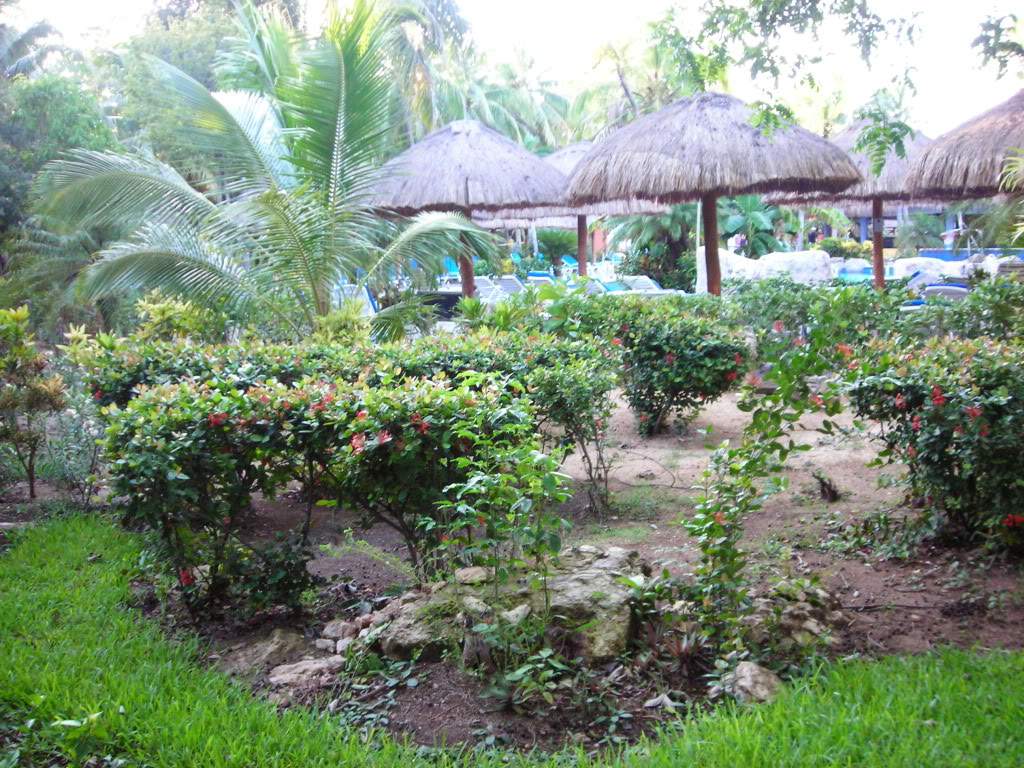 ai753.photobucket.com_albums_xx173_sofiaisa_DSCN2106.jpg