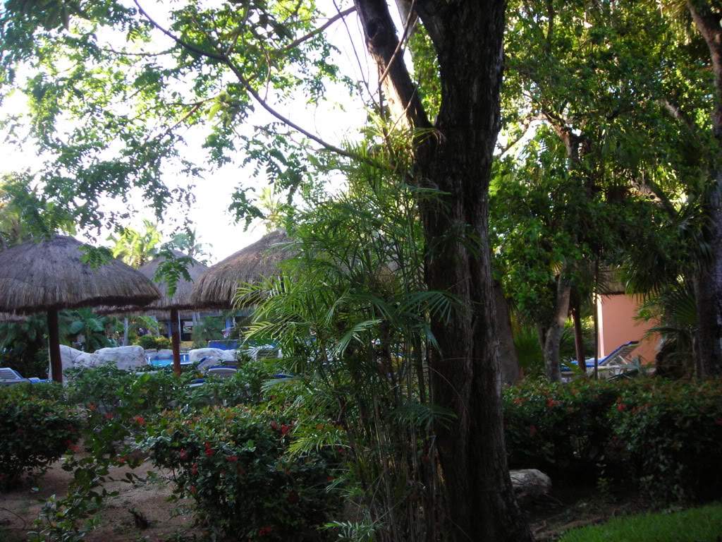 ai753.photobucket.com_albums_xx173_sofiaisa_DSCN2107.jpg