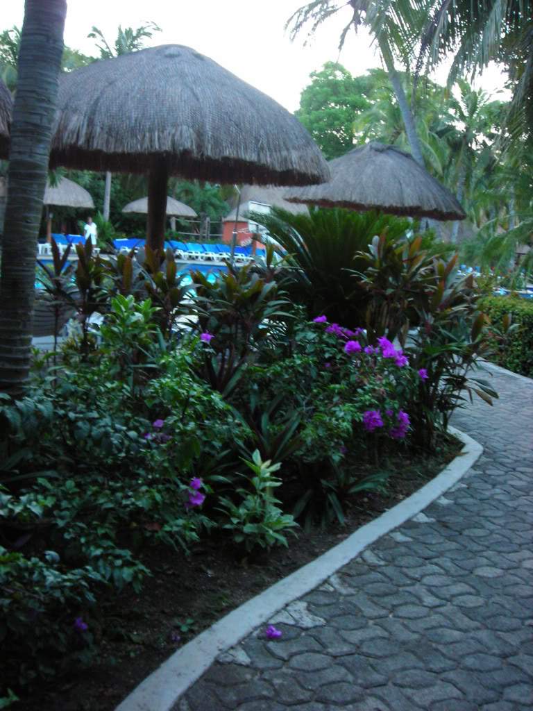 ai753.photobucket.com_albums_xx173_sofiaisa_DSCN2122.jpg