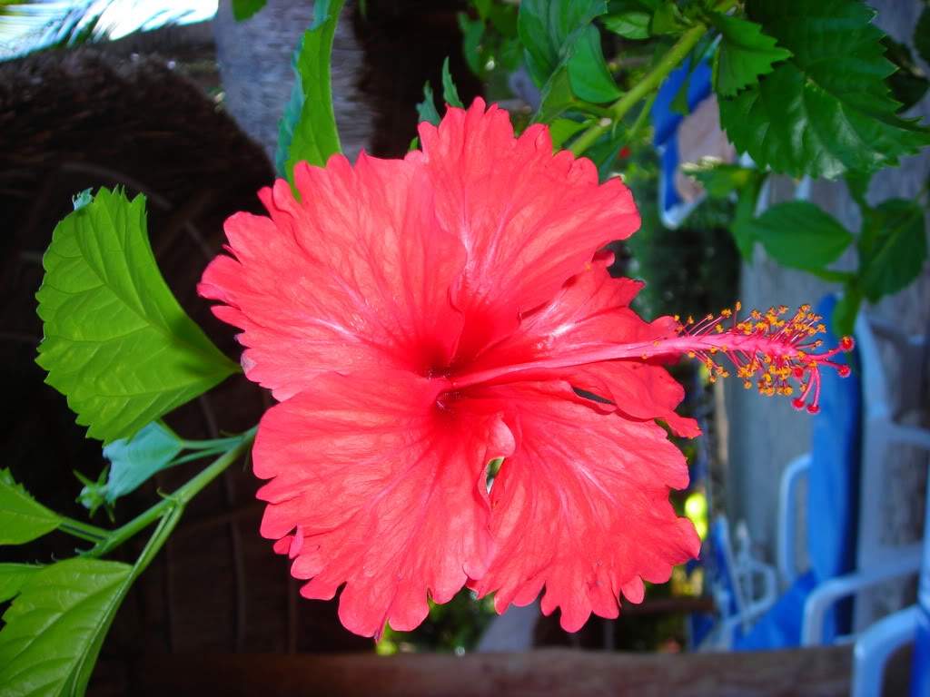 ai753.photobucket.com_albums_xx173_sofiaisa_DSCN2170.jpg