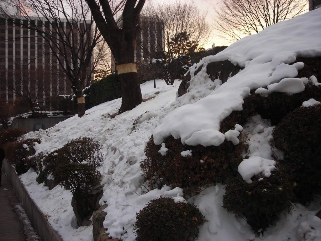 ai753.photobucket.com_albums_xx173_sofiaisa_DSCN2630.jpg