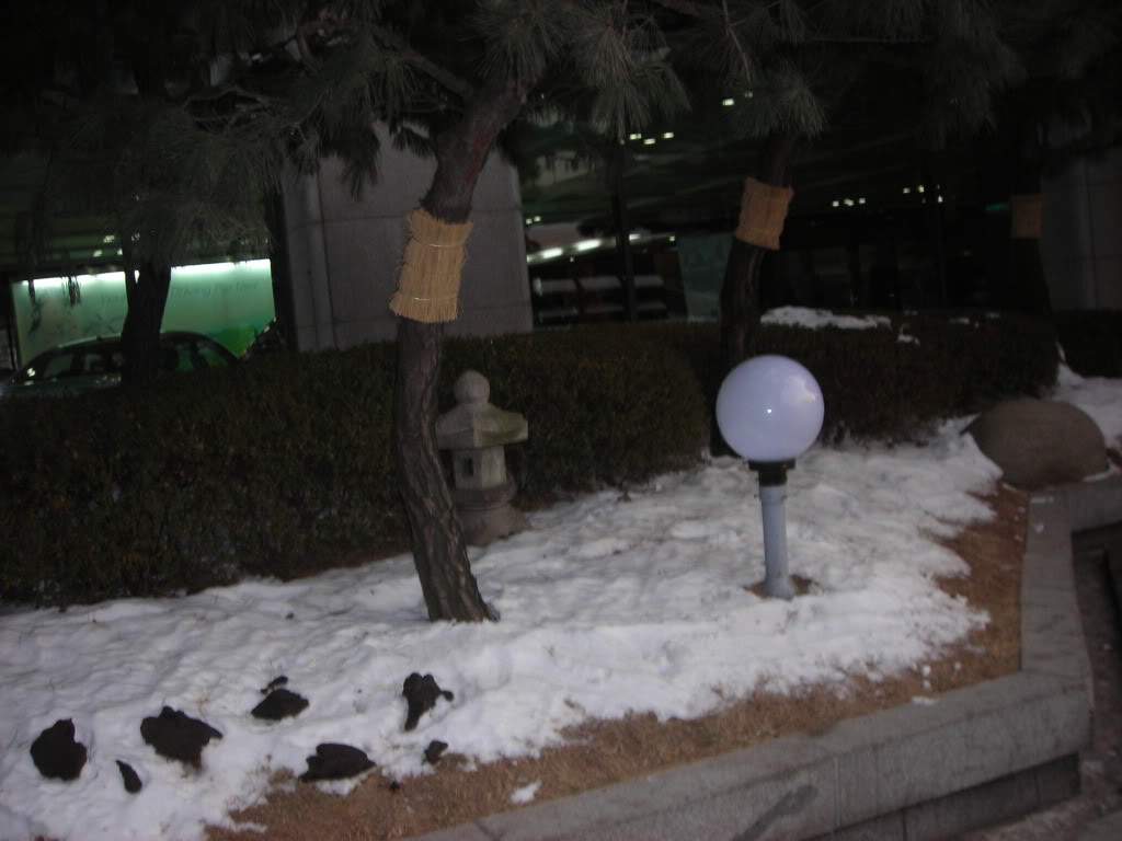 ai753.photobucket.com_albums_xx173_sofiaisa_DSCN2633.jpg