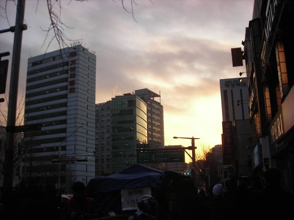 ai753.photobucket.com_albums_xx173_sofiaisa_DSCN2639.jpg
