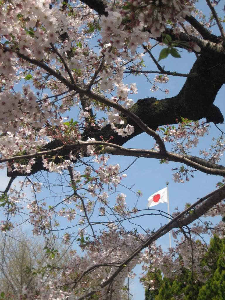 ai753.photobucket.com_albums_xx173_sofiaisa_IMG_9170.jpg