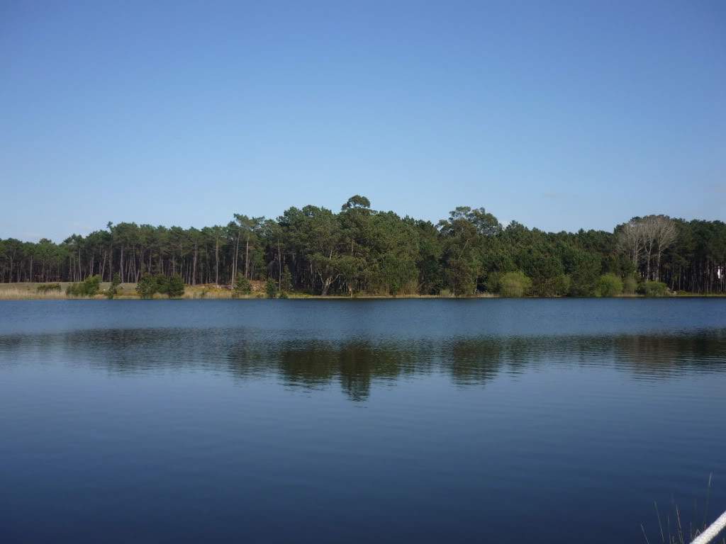 ai762.photobucket.com_albums_xx261_SONHAR_photos_LagoadePataias_2.jpg