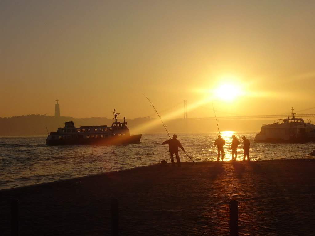 ai763.photobucket.com_albums_xx271_FilipeLopesGarcia_P1010010.jpg