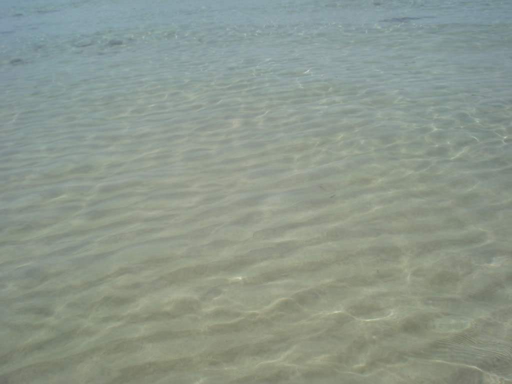 ai763.photobucket.com_albums_xx278_irinakosta_DSC06235.jpg