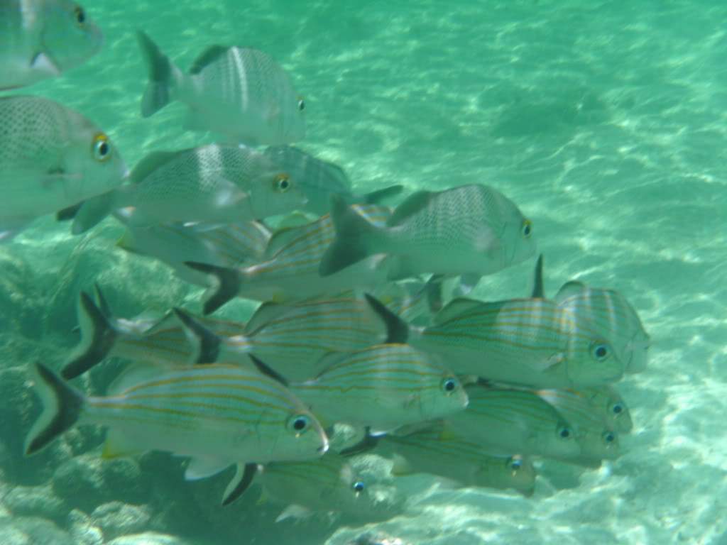 ai768.photobucket.com_albums_xx326_jirco_BILD0087.jpg
