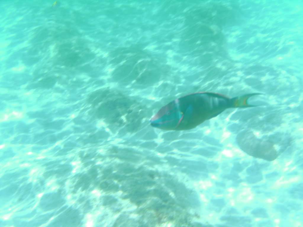 ai768.photobucket.com_albums_xx326_jirco_BILD0097.jpg