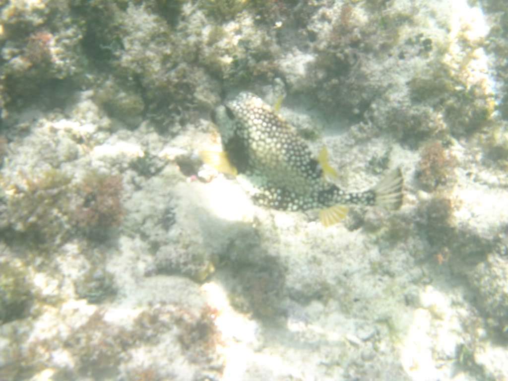 ai768.photobucket.com_albums_xx326_jirco_BILD0212.jpg