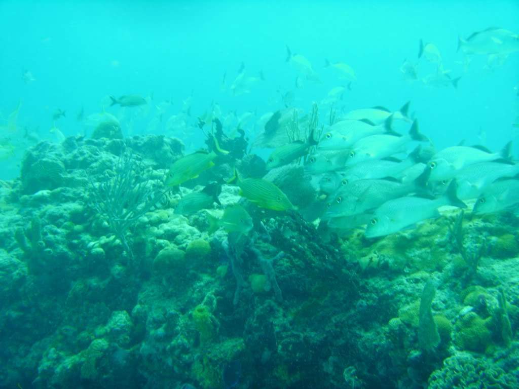 ai768.photobucket.com_albums_xx326_jirco_BILD0346.jpg