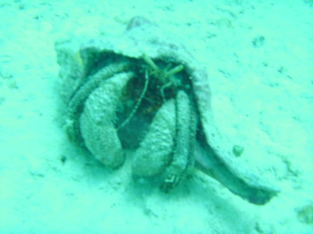 ai768.photobucket.com_albums_xx326_jirco_BILD0389.jpg