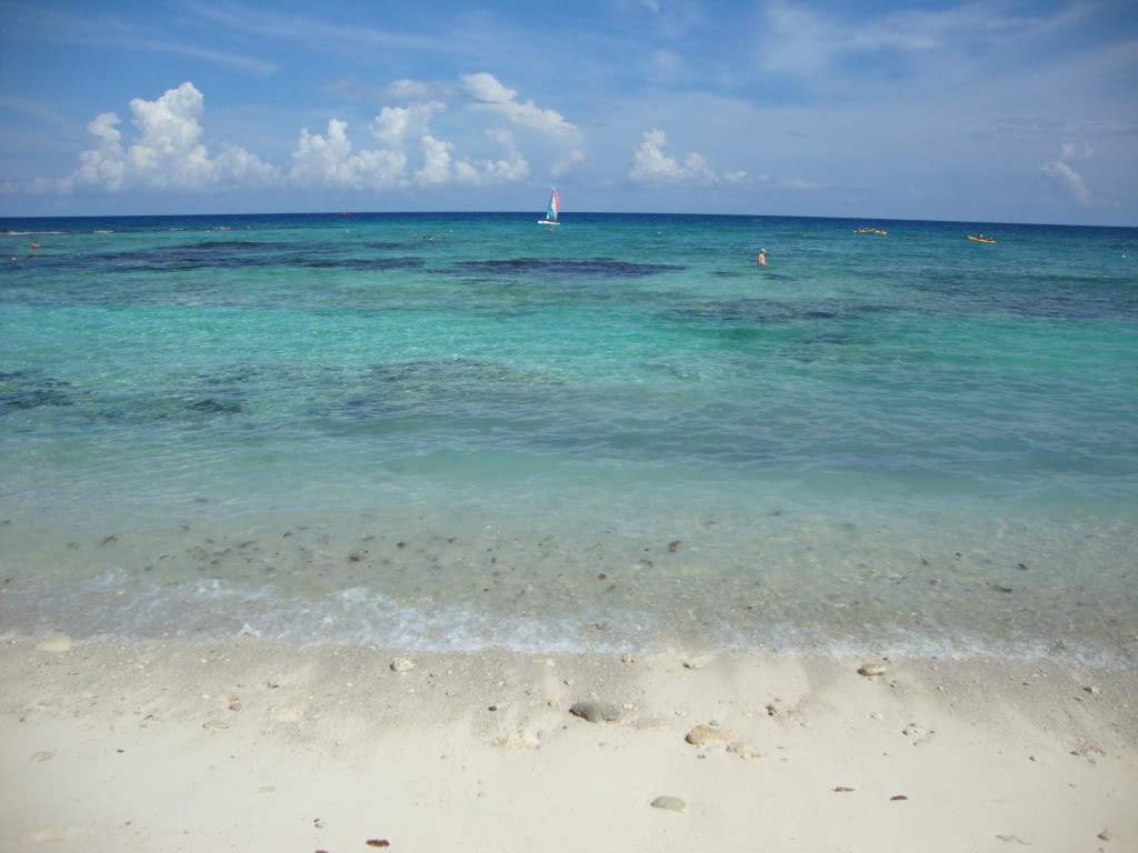 ai768.photobucket.com_albums_xx326_jirco_DSC02431.jpg